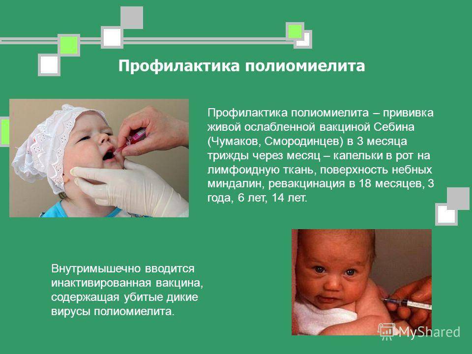 Какая вакцина полиомиелита живая. Полиомиелит прививка. Прививка от полиомилет. Вакцинация от полиомиелита. Прививка от полиомиелита детям.